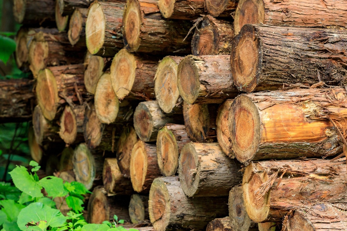 AdobeStock_449977737
